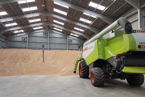 Steel framed grain storage building